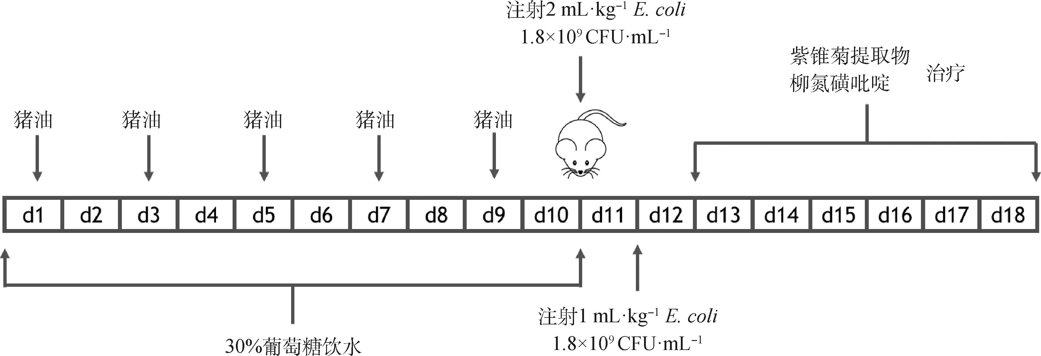 紫锥菊提取物对大鼠湿热泄泻的疗效及其机制-全面游戏