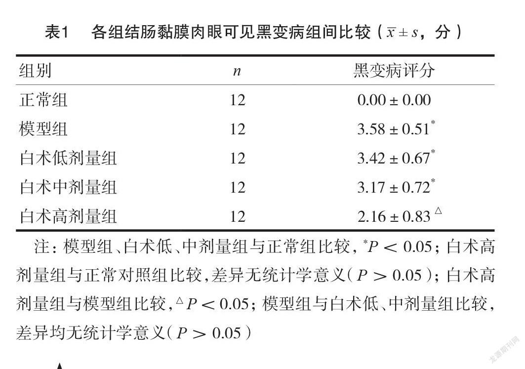 白术调节结肠黑变病黏膜状态的实验观察 医药论文