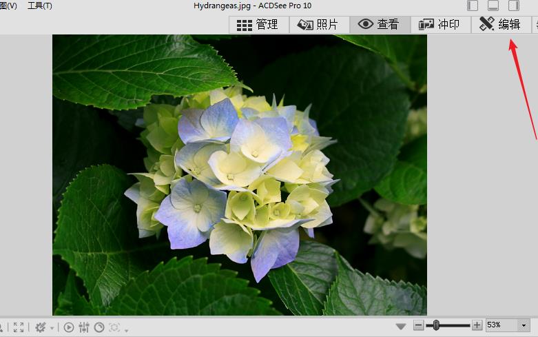 acdsee怎么编辑图片