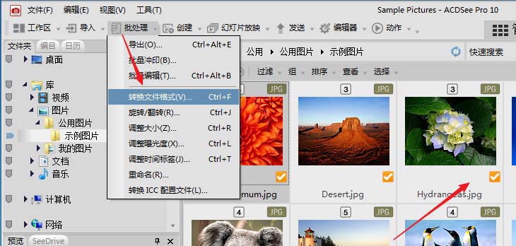 acdsee怎么批量压缩图片大小