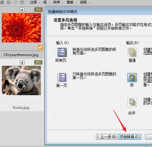 acdsee怎么批量压缩图片大小