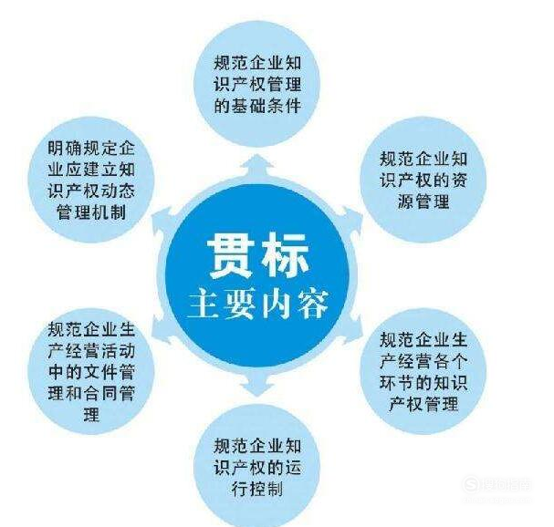 软件著作权登记的重要性与发展趋势