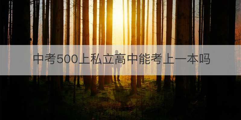 中考500上私立高中能考上一本吗