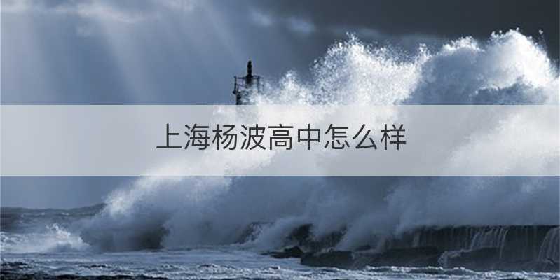 上海杨波高中怎么样