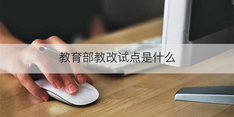 教育部教改试点是什么