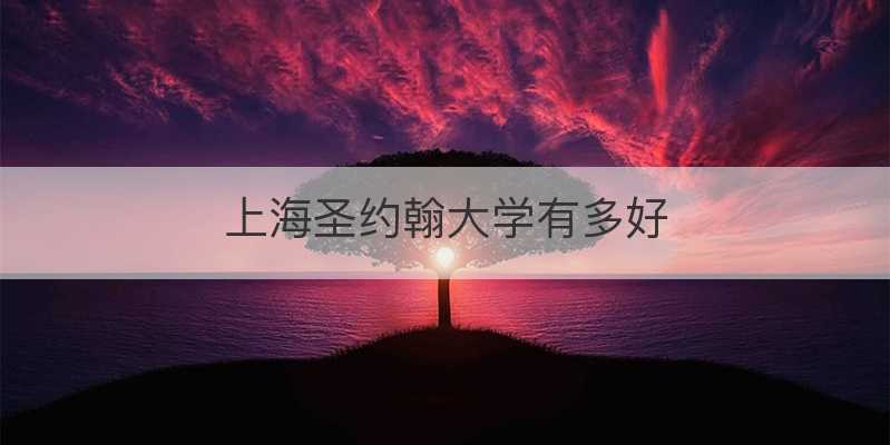 上海圣约翰大学有多好