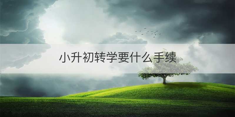 小升初转学要什么手续