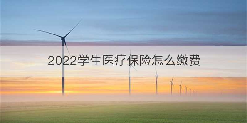 2022学生医疗保险怎么缴费