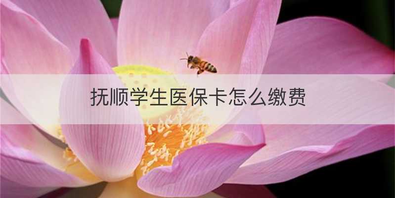 抚顺学生医保卡怎么缴费