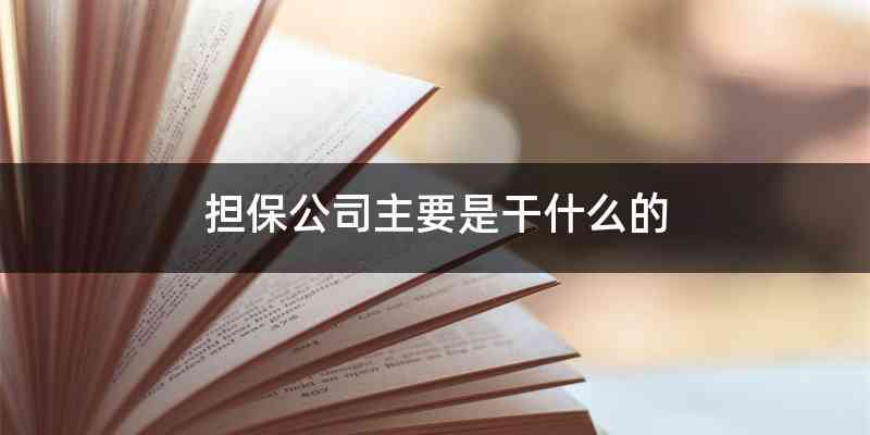 担保公司主要是干什么的