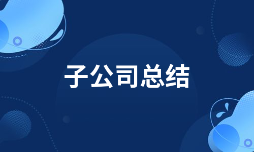 子公司总结（通用6篇）