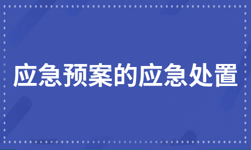 应急预案的应急处置（集锦5篇）