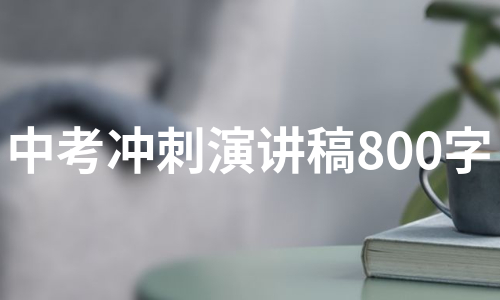 中考冲刺演讲稿800字（合集5篇）