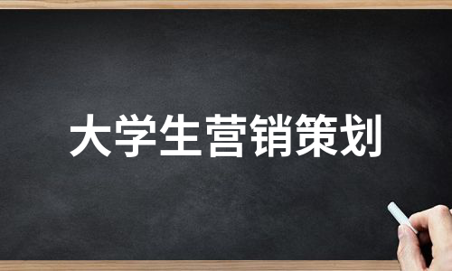 大学生营销策划（通用5篇）