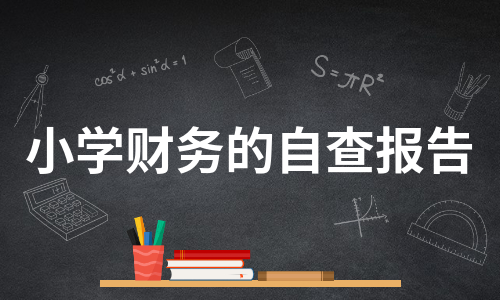 小学财务的自查报告（热门6篇）