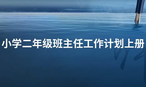 小学二年级班主任工作计划上册（热推13篇）