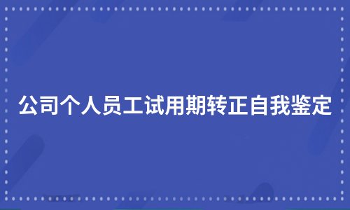 公司个人员工试用期转正自我鉴定（实用6篇）