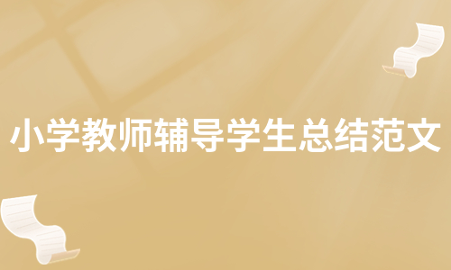 小学教师辅导学生总结范文（实用5篇）