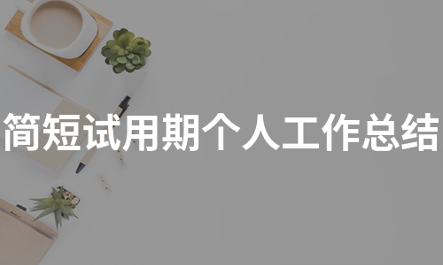 简短试用期个人工作总结（实用6篇）