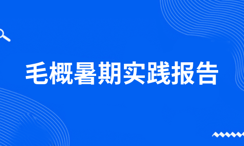 毛概暑期实践报告（通用7篇）