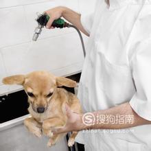 华体会- 华体会体育官网- 华体会体育APP下载我与乡村振兴的故事